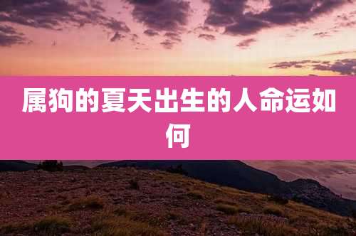 属狗的夏天出生的人命运如何