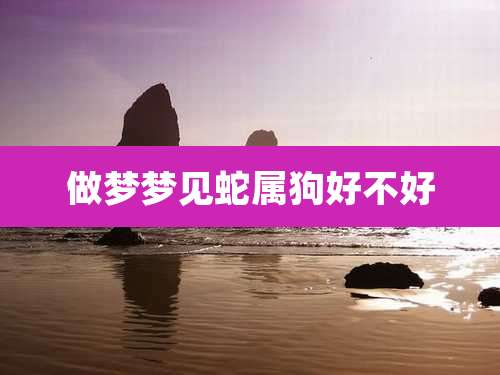 做梦梦见蛇属狗好不好