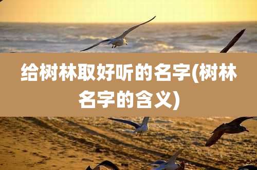 给树林取好听的名字(树林名字的含义)