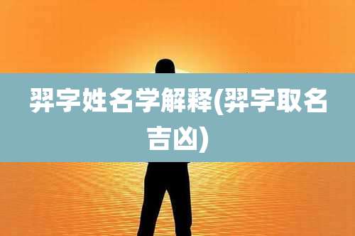 羿字姓名学解释(羿字取名吉凶)