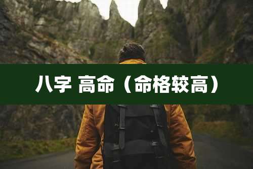 八字 高命(命格较高)