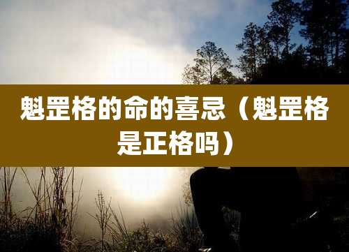魁罡格的命的喜忌（魁罡格是正格吗）