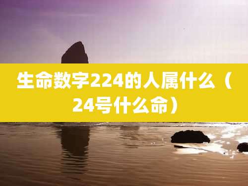 生命数字224的人属什么（24号什么命）