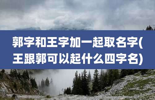 郭字和王字加一起取名字(王跟郭可以起什么四字名)
