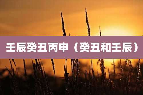 壬辰癸丑丙申(癸丑和壬辰)