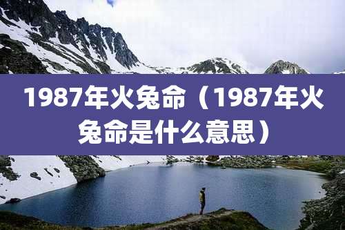 1987年火兔命（1987年火兔命是什么意思）