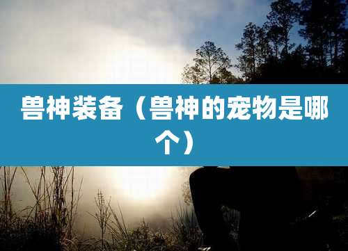兽神装备（兽神的宠物是哪个）