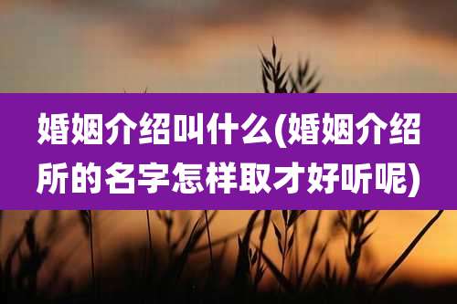 婚姻介绍叫什么(婚姻介绍所的名字怎样取才好听呢)