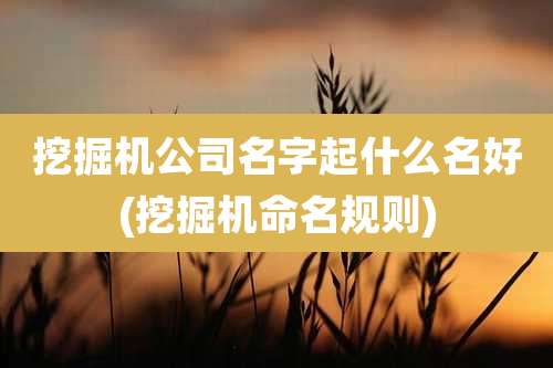 挖掘机公司名字起什么名好(挖掘机命名规则)