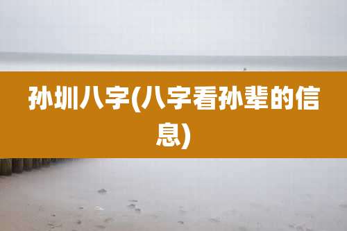 孙圳八字(八字看孙辈的信息)