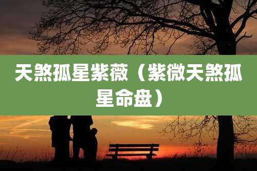 天煞孤星紫薇(紫微天煞孤星命盘)