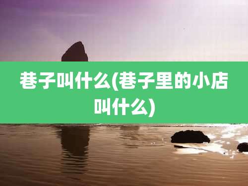 巷子叫什么(巷子里的小店叫什么)
