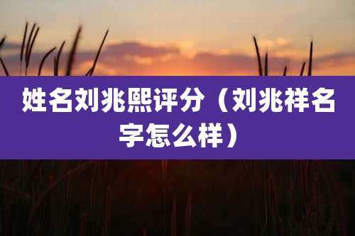 姓名刘兆熙评分(刘兆祥名字怎么样)