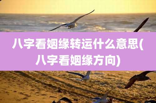 八字看姻缘转运什么意思(八字看姻缘方向)