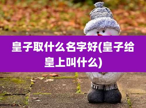 皇子取什么名字好(皇子给皇上叫什么)