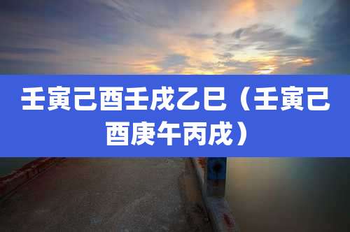 壬寅己酉壬戌乙巳（壬寅己酉庚午丙戌）