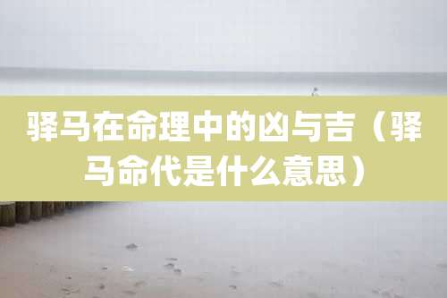 驿马在命理中的凶与吉（驿马命代是什么意思）