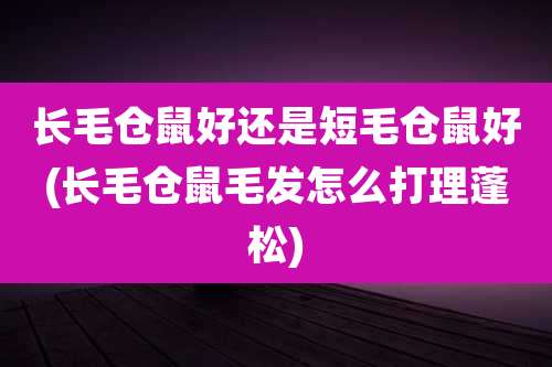 长毛仓鼠好还是短毛仓鼠好(长毛仓鼠毛发怎么打理蓬松)