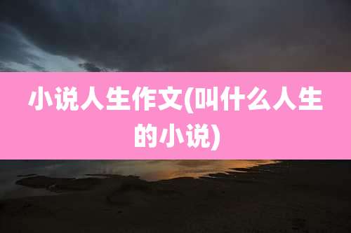 小说人生作文(叫什么人生的小说)