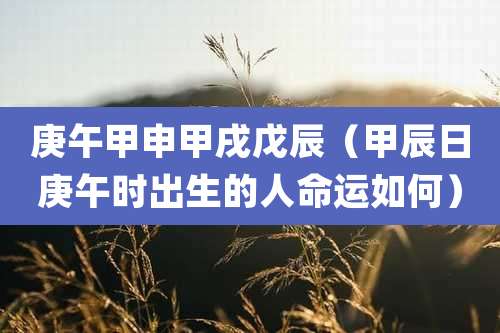 庚午甲申甲戌戊辰(甲辰日庚午时出生的人命运如何)