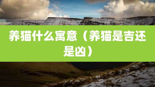 养猫什么寓意（养猫是吉还是凶）