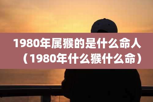 1980年属猴的是什么命人（1980年什么猴什么命）