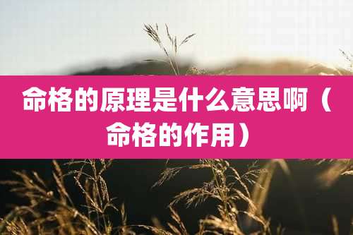 命格的原理是什么意思啊(命格的作用)