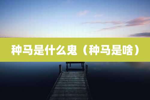 种马是什么鬼(种马是啥)