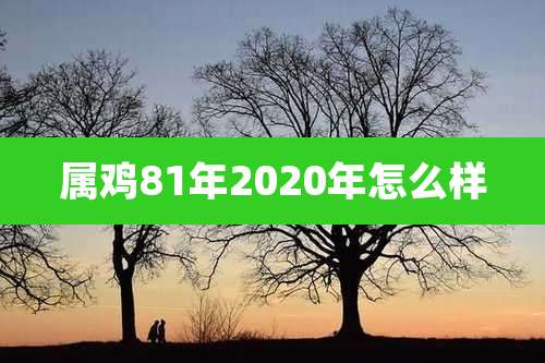 属鸡81年2020年怎么样