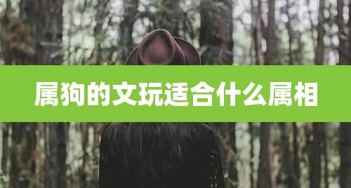 属狗的文玩适合什么属相