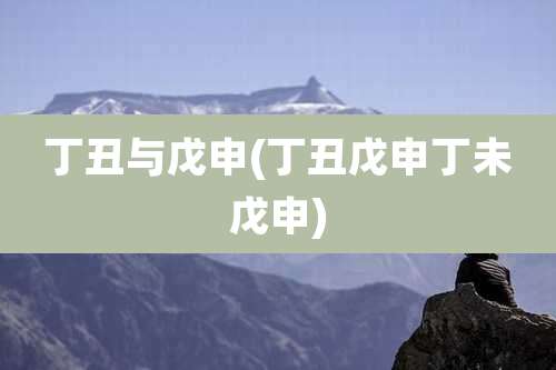 丁丑与戊申(丁丑戊申丁未戊申)