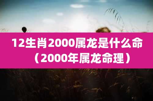 12生肖2000属龙是什么命(2000年属龙命理)