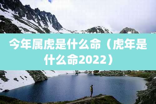 今年属虎是什么命(虎年是什么命2022)