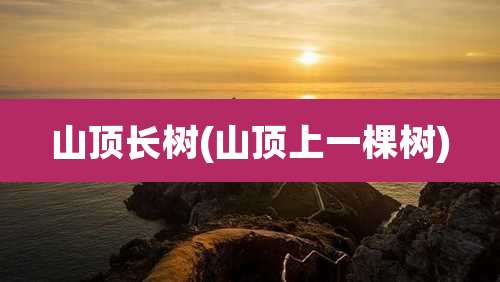 山顶长树(山顶上一棵树)