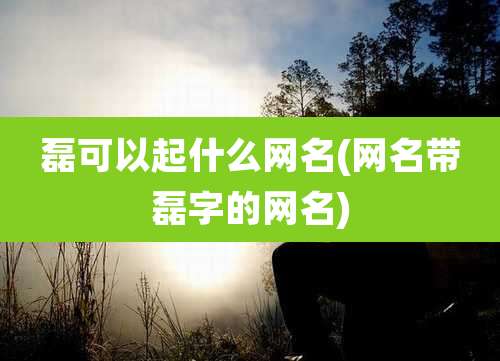 磊可以起什么网名(网名带磊字的网名)