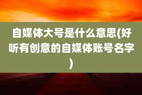 自媒体大号是什么意思(好听有创意的自媒体账号名字)