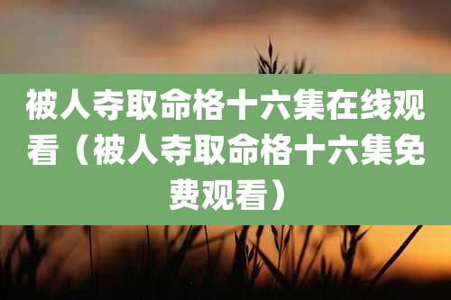 被人夺取命格十六集在线观看(被人夺取命格十六集免费观看)