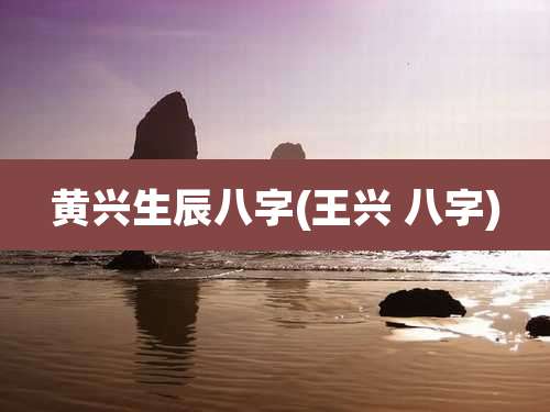 黄兴生辰八字(王兴 八字)