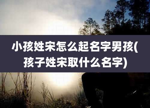 小孩姓宋怎么起名字男孩(孩子姓宋取什么名字)