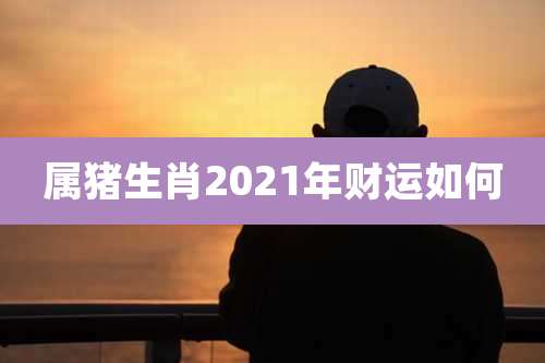属猪生肖2021年财运如何