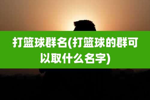 打篮球群名(打篮球的群可以取什么名字)