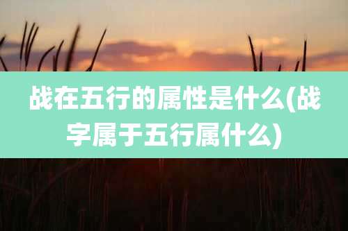 战在五行的属性是什么(战字属于五行属什么)