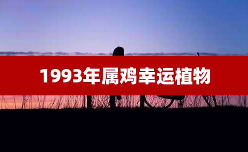 1993年属鸡幸运植物
