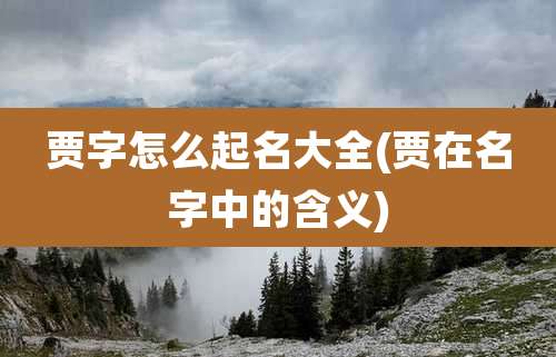 贾字怎么起名大全(贾在名字中的含义)