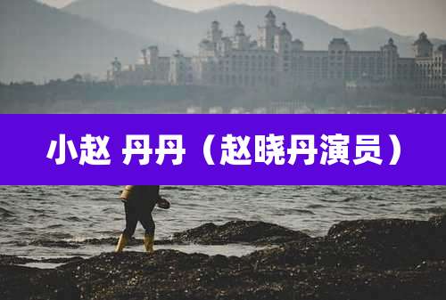 小赵 丹丹(赵晓丹演员)