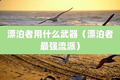 漂泊者用什么武器（漂泊者最强流派）