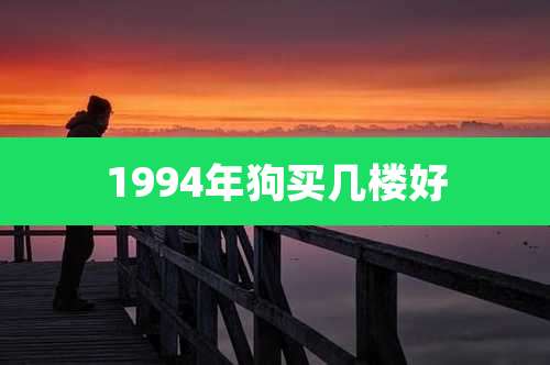 1994年狗买几楼好