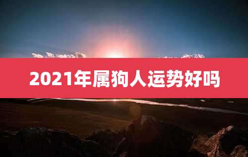 2021年属狗人运势好吗