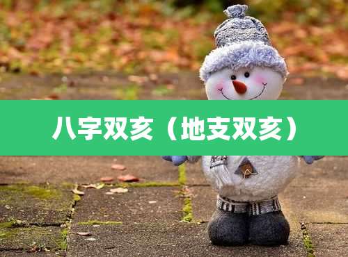 八字双亥(地支双亥)