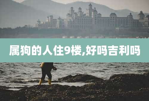 属狗的人住9楼,好吗吉利吗